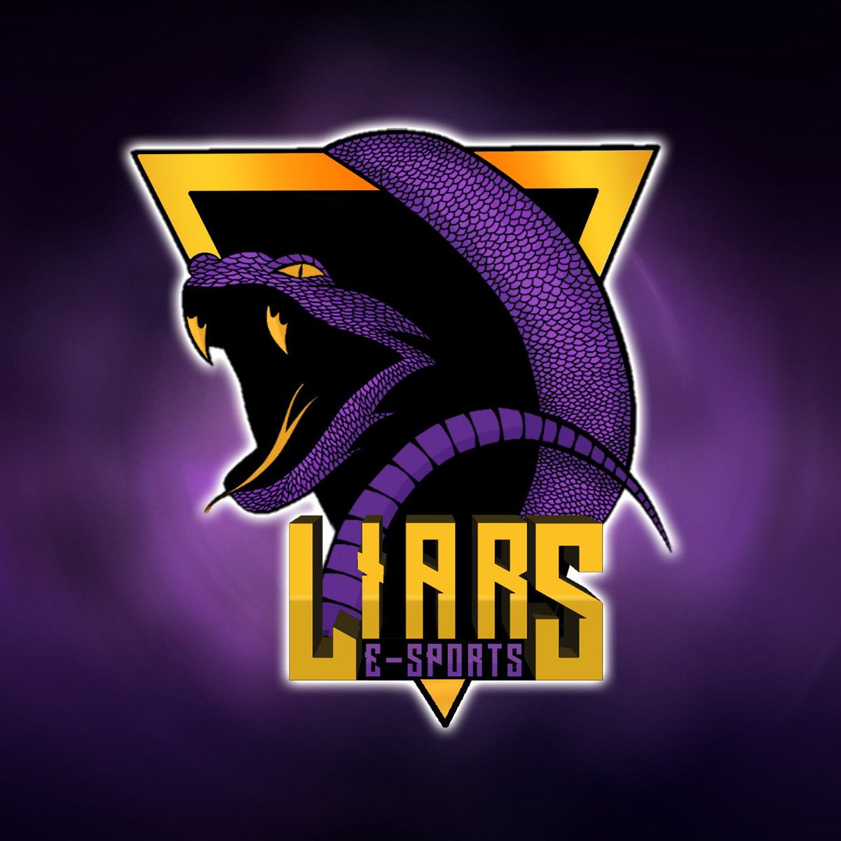 liarsesports's tweet photo. #NewProfilePic estamos de cara nova. E passando também para avisar, que estamos com o recrutamento on. Tanto na nossa guilda competitiva, quanto na não competitiva. Se tiver interesse, nos contate na dm. #FreeFire #goLIARS 🐍 https://t.co/1RVxPhv66e