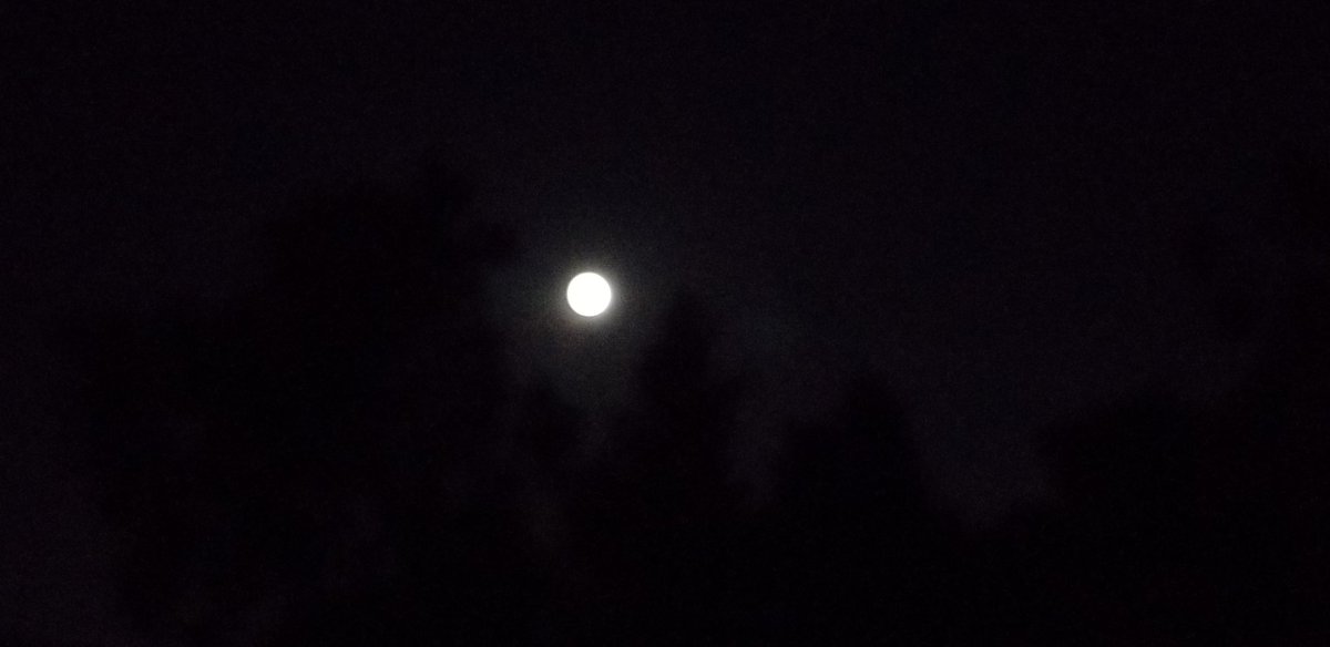 Paulette_writes's tweet photo. One step closer to completely full! (Looks full to me! But must wait til 12:44 a.m. Sun to be "officially" full!) But earlier this eve, Mr. Moon looked like the sun! #FullMoonWeekend #ThunderMoon #BuckMoon https://t.co/XaE9oca03I