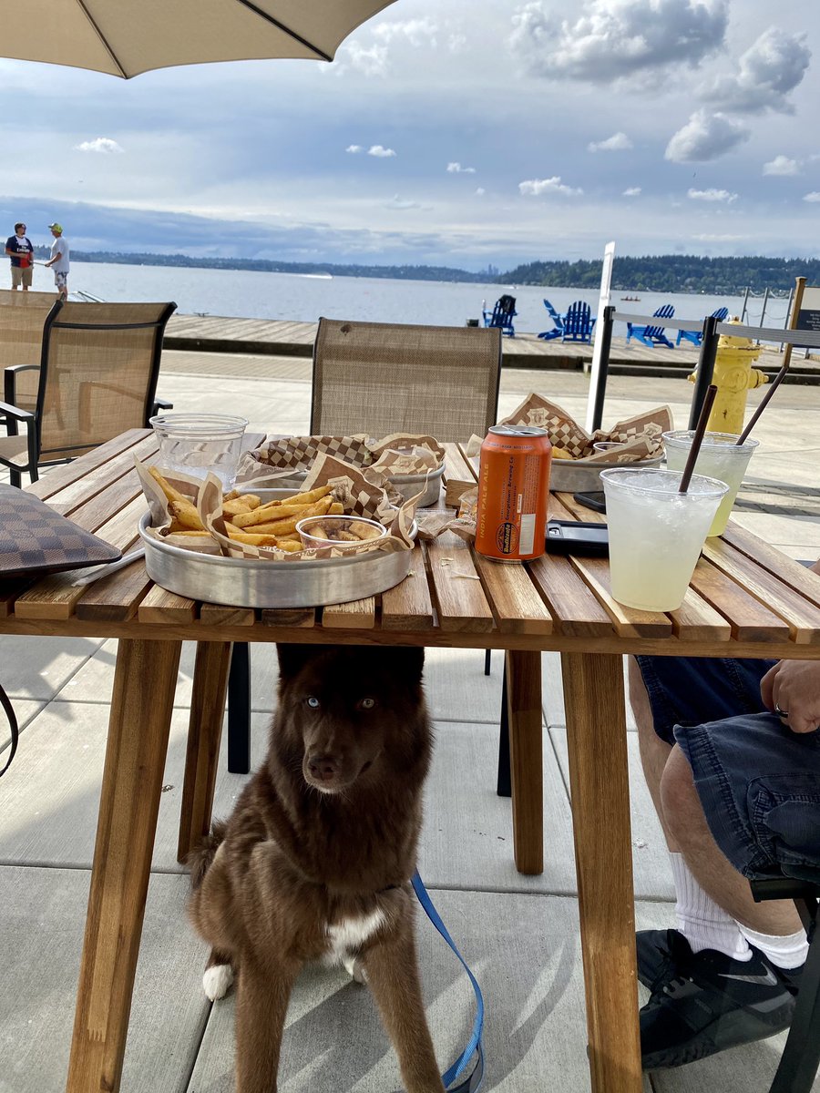thehuletpack's tweet photo. When a social distancing restaurant pops up in the front yard 😎🐕 #yum #sliders #fries #friyay #holidayweekend #husky https://t.co/5DEHhPnPrX