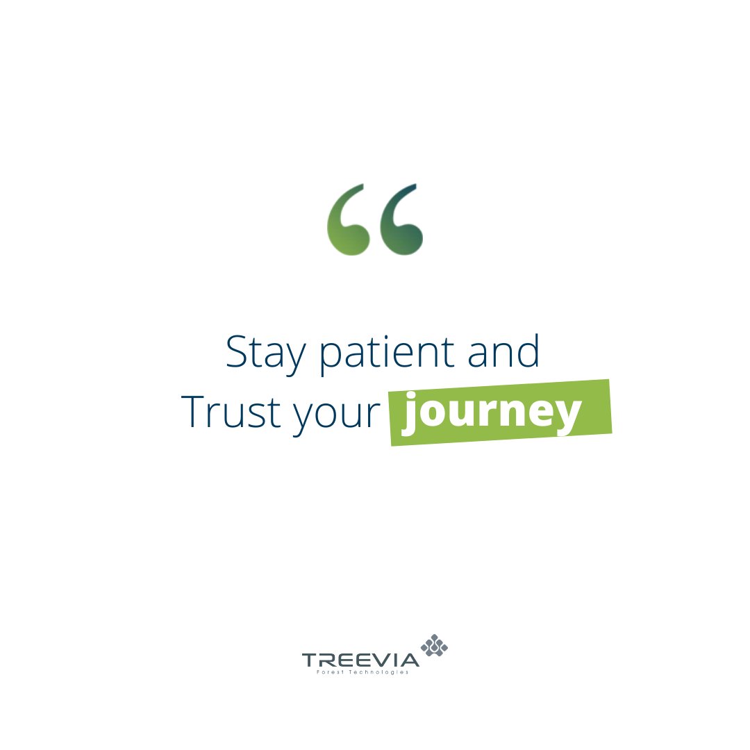 treeviaforest's tweet image. Have a good weekend!
#InspirationalQuotes  #StaySafe