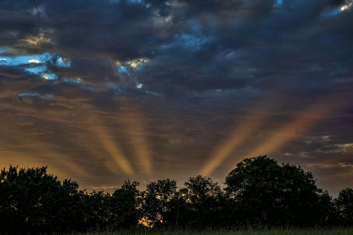 Ronnie Prcin tweet media