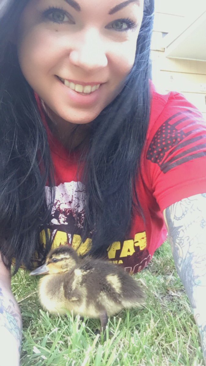 KatMillicent's tweet photo. My newest #rescueduck Named #wobbles ❤️ https://t.co/jDGOFXpwJD
