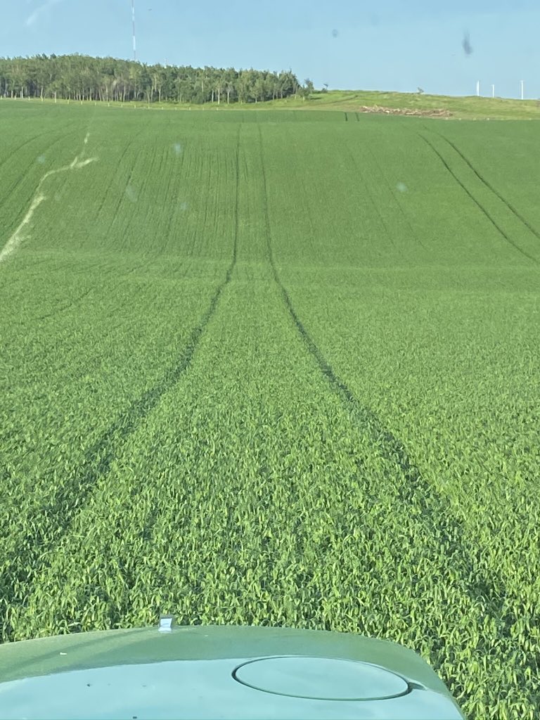 KurtG_GCC's tweet photo. Got to like well drained land #spray2020 #AACBrandon https://t.co/TXCR8v5yh5