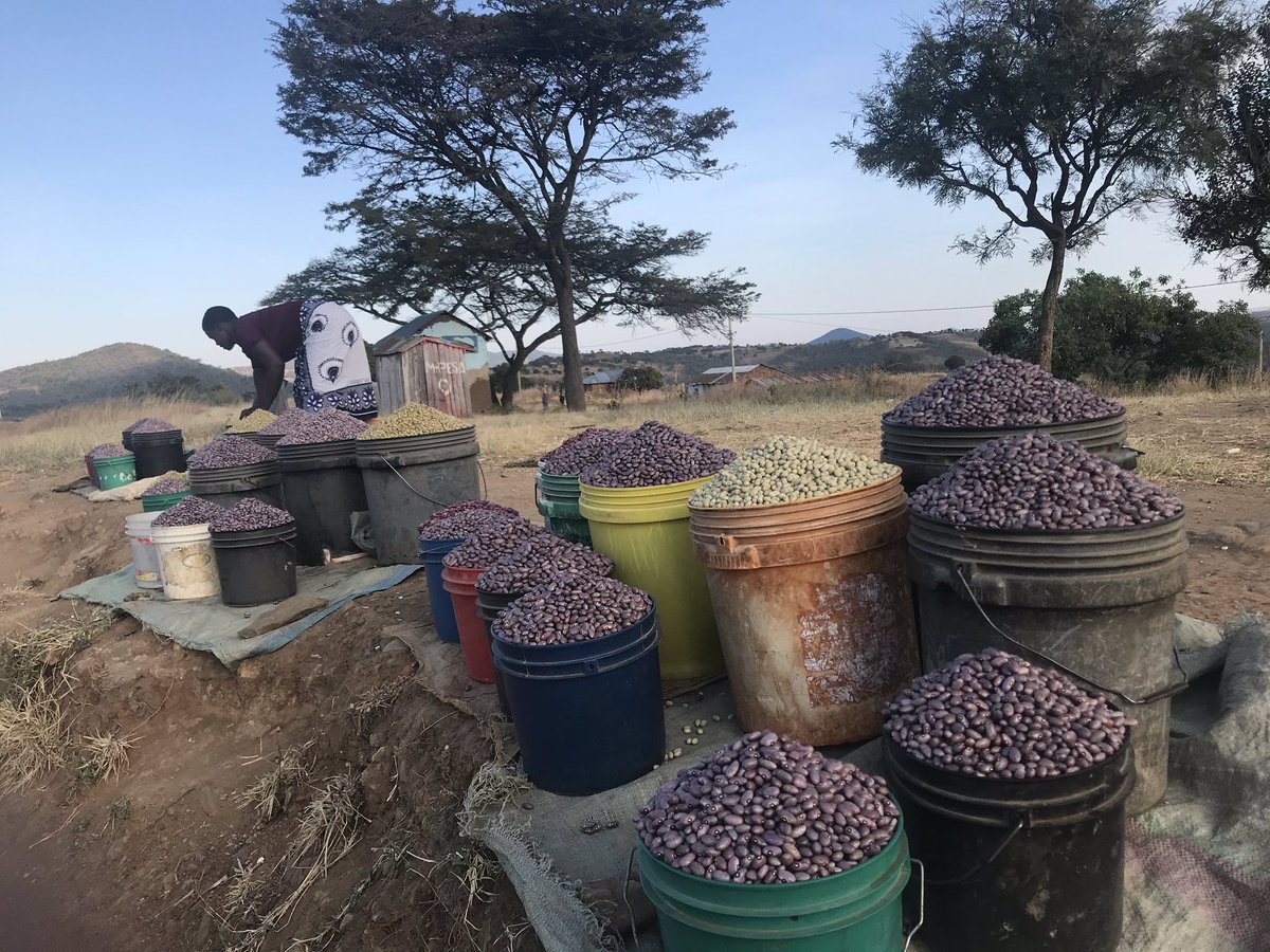 <a href="/moodewji/">Mohammed Dewji MO</a> #Mogift2020 leave no one behind.     I will donate the reward from <a href="/moodewji/">Mohammed Dewji MO</a> to poor rural young women who are doing small business but cannot access digital solutions like twitter. Tusiwaache nyuma ambao hawatumii Twitter hii zawadi nitaipeleka kwa akinamama vijana vijijini.