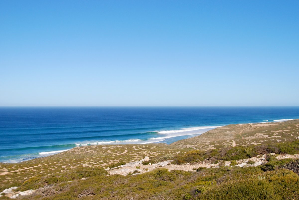 #scape366.com 186 - Stopped at a #lookout along the #nullarbor, watching the #waves in the #greataustralianbight roll in on a clear day. Part of the #coastline between the #bundacliffs and the #merdayerrahsandpatch, where green #scrub survives in the #rock #coastscape