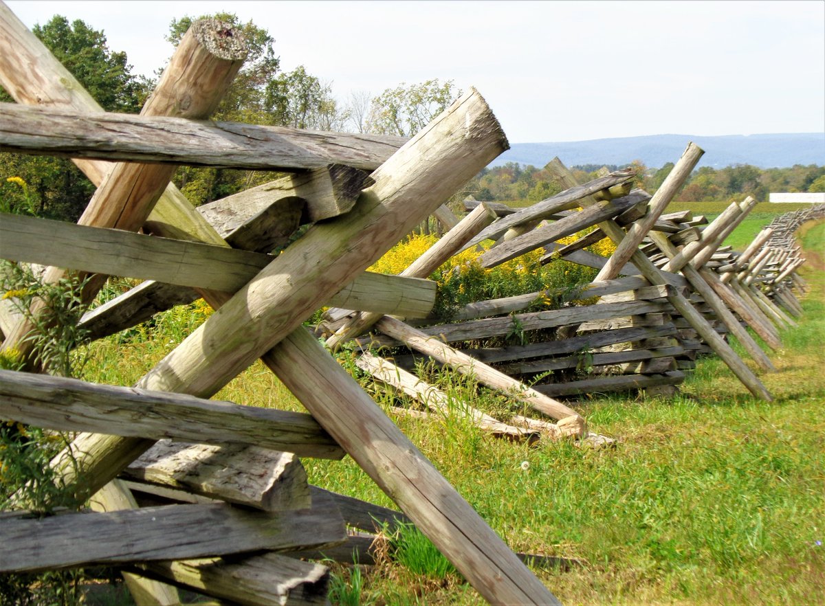 10MinDQ's tweet photo. The battle of Gettysburg.....July 1-3, 1863.......It was HOT even hotter than it is here today....over 100F and men in wool uniforms....a living hell in many ways....and then the rains came and came.....wounded drown in makeshift hospitals and basements......#NeverForgetWhy https://t.co/wG8hSbl1al