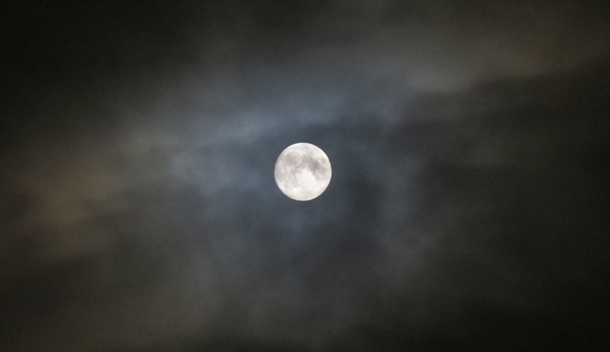 MichelleTStamp1's tweet photo. Lucky to get five minutes with no cloud cover here tonight. So cold too!
#moon #nearlyfull #waxinggibbous #RiskOfFrost #Newfoundland #ShareYourWeather https://t.co/W5NmhBNpE1