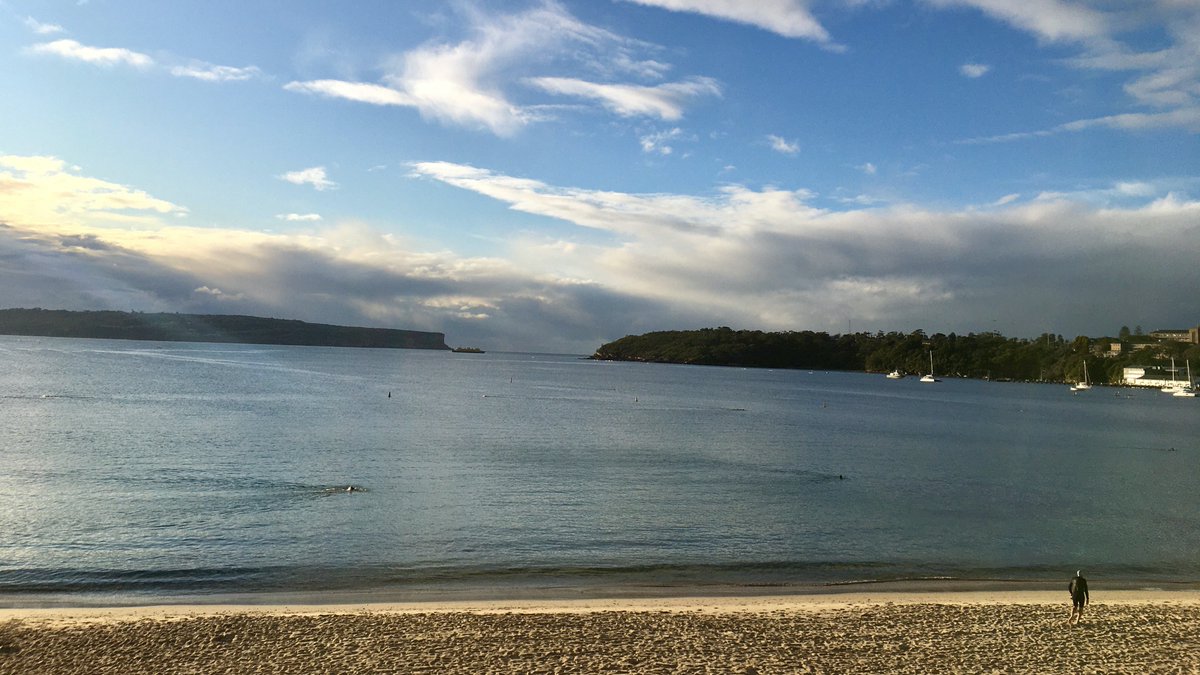 reseyspru's tweet photo. At beautiful Balmoral this morning to discuss my up-coming appearance via Zoom at the Balmoral Beach Club's monthly storytelling night featuring The Memory Pool: Australian stories of summer, sun and swimming. 
#thememorypool #balmoralbeach #balmoralbaths https://t.co/izetNDKYiX