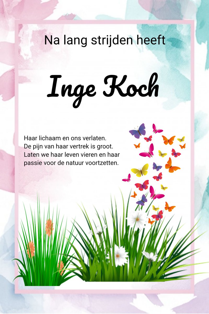 DeGrApoth's tweet photo. Op haar 55ste verjaardag heeft onze oprichtster en voorzitter, Ingeborg Irene Koch, ons onder eigen regie verlaten. We zullen haar liefde, zorgzaamheid en inzet heel erg missen. We zullen haar missie voortzetten en haar leven vieren. https://t.co/chf1LYtfa5