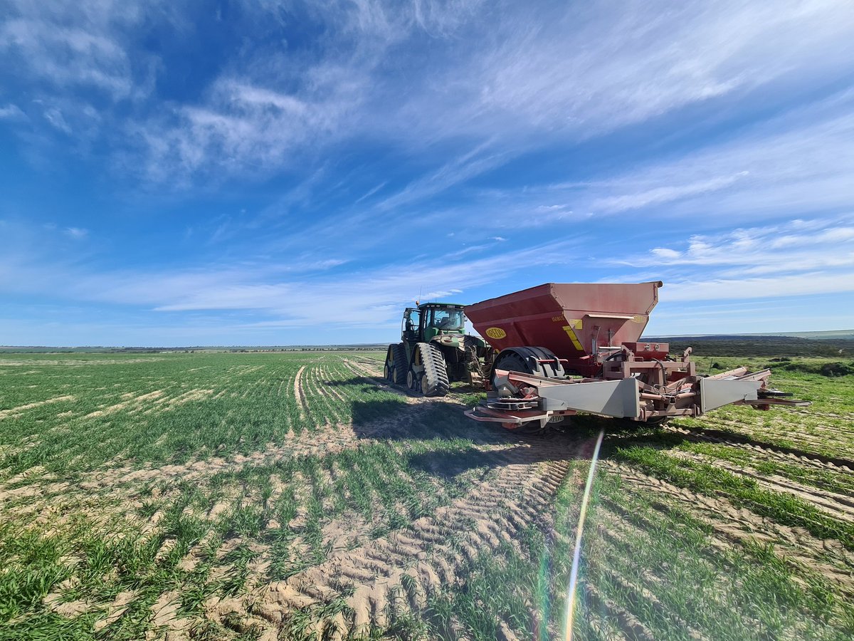 MIFC1964's tweet photo. Bit of urea on the club wheat crop, 🤞for some 🌧
Thanks to all our contributors so far @jmills014 @picadilly5 @MurrayThomas7 @Clint_Chivers @JarradKupsch @cosfarming @smythagri #JamieBoy @thomo181
#Beetle @justinbagley23 https://t.co/m0yg3tDx2Z