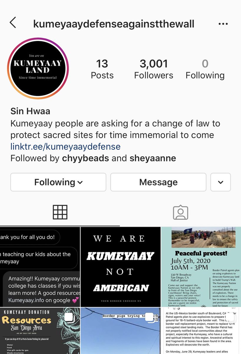 that1native_'s tweet image. I haven’t really seen much about this on Twitter so could y’all 
share pls 🥺👉🏼👈🏼 There will be a peaceful protest July 5th in front of the San Diego Courthouse #Kumeyaaydefenseagainstthewall  #fcktrumpswall #nativecountry #StolenLand #landback #nativeland