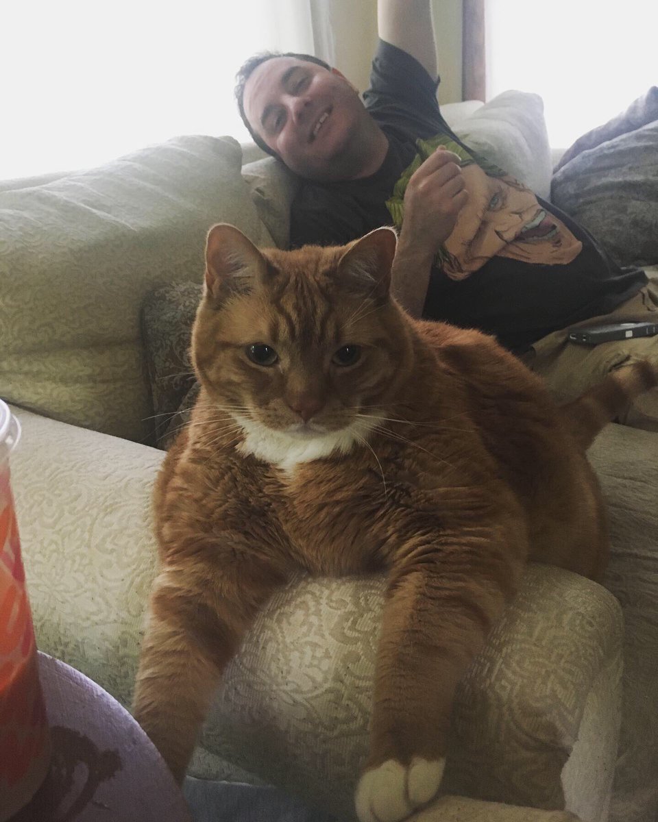 TheDailySimba's tweet photo. Time spent with a cat is never wasted 😻 (Unless you get wasted with the cat; j/k!) #LoveMyCat #Caturday #catsoftwitter #catsofinstagram https://t.co/cuU488Pxbe