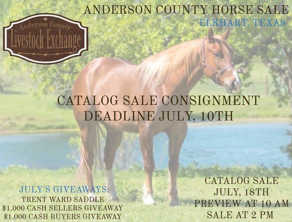DoubleBRanch4's tweet photo. Taking Consignments now!
Incentives &amp; giveaways for both buyers and sellers!
Preview for catalog horses the morning of the sale! #horsesale #catalogsale https://t.co/XsJf2LQ5P1