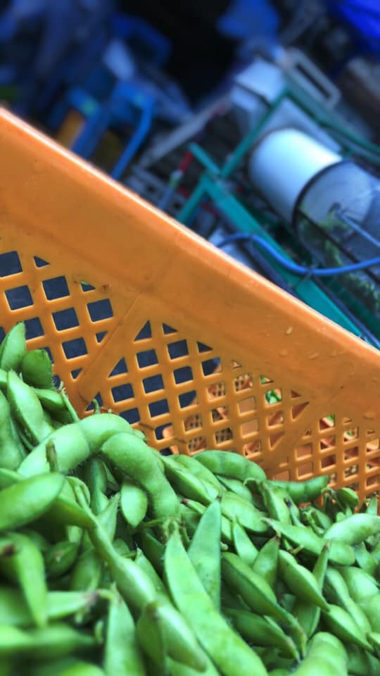 おつな姫 Twitter Search Twitter おつな姫 Twitter Search Twitter