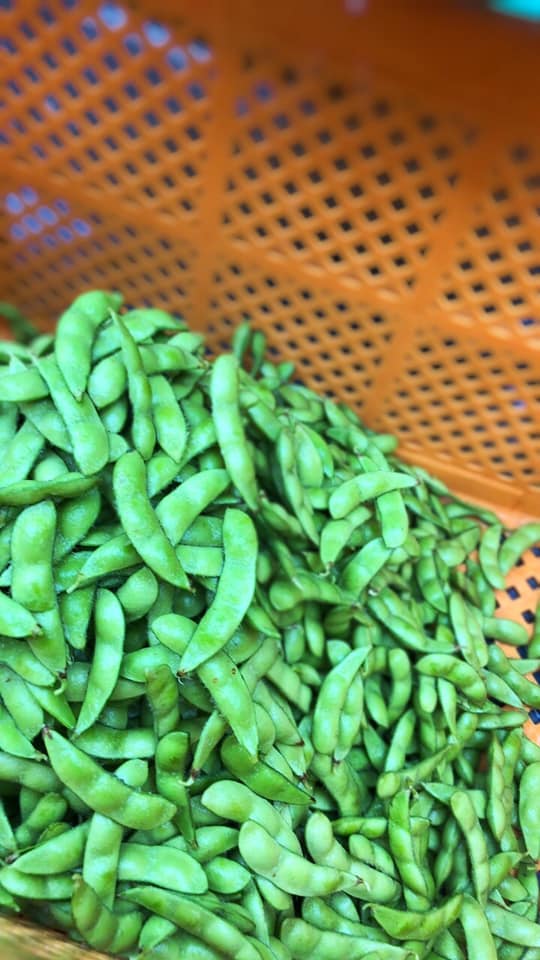 おつな姫 Twitter Search Twitter おつな姫 Twitter Search Twitter