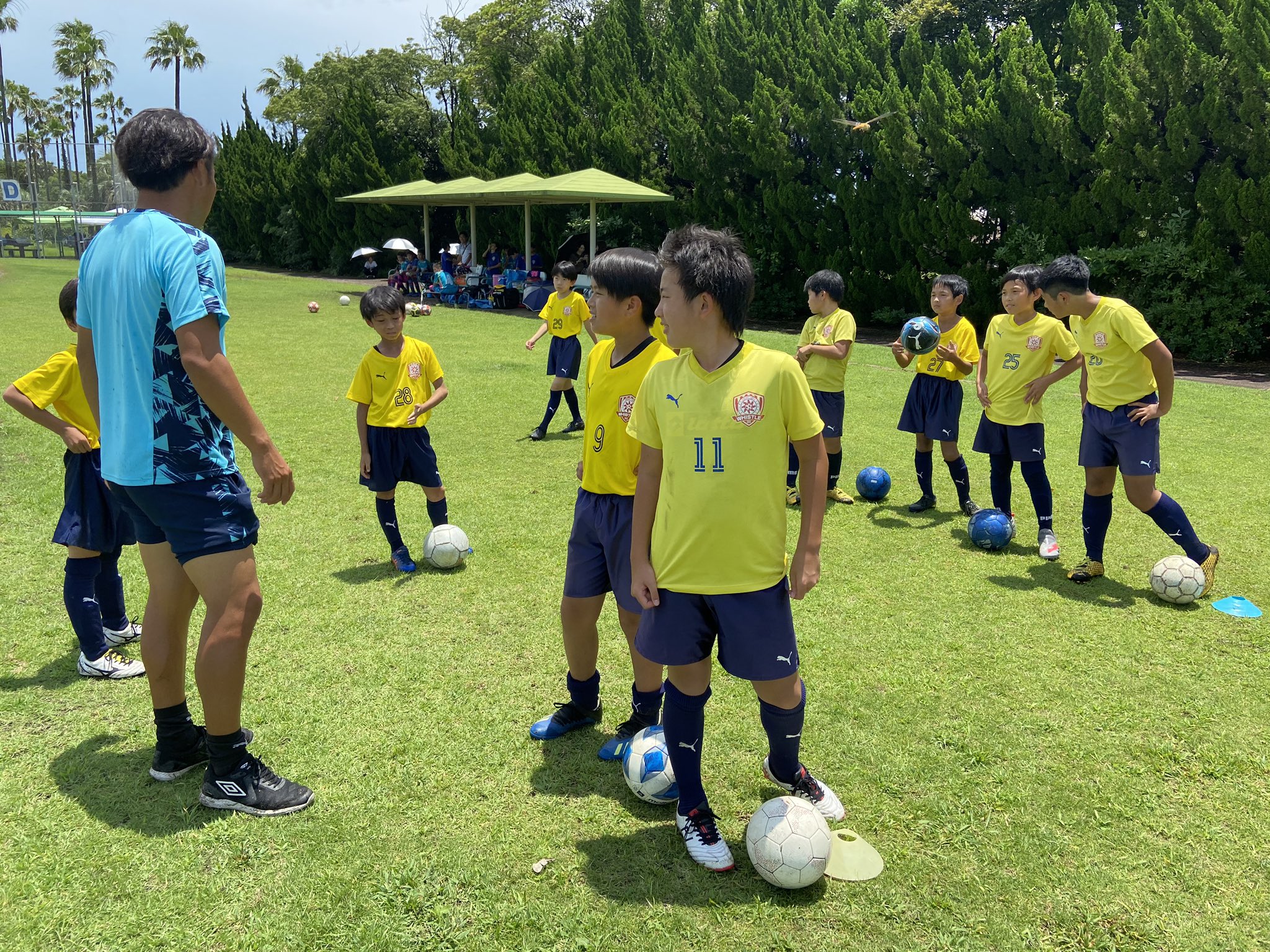 ホイッスルfc Whistlemiyazaki Twitter