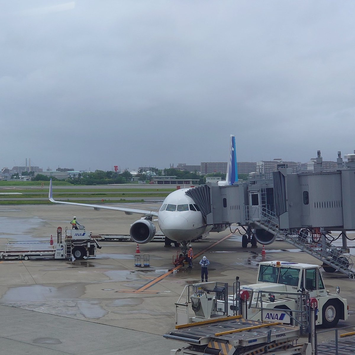 sibsib8's tweet photo. 本日のフライトはNH767でITM→OKA
本格的に修行を始めて9フライト目
伊丹に早めに入って、昼飯代わりに551のシュウマイをアテにハイボール♬
※ニオイテロになるので機内食にはできませんw
では、行ってきます!!
#SFC修行
#oka
#Itm
#reg9
#nh767 https://t.co/C1h2qC3EUI