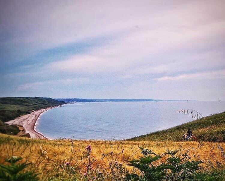 lloucin's tweet photo. La spiaggia di Punta Penna a Vasto è una delle poche spiagge incontaminate di tutto il Mar Adriatico
Nella Riserva Naturale di Punta Aderci, la spiaggia di Punta Penna è famosa per le sue dune, habitat naturale del Gabbiano Reale e del Fratino
#yesabruzzo #abruzzo #puntapenna https://t.co/owPPSEE5qq