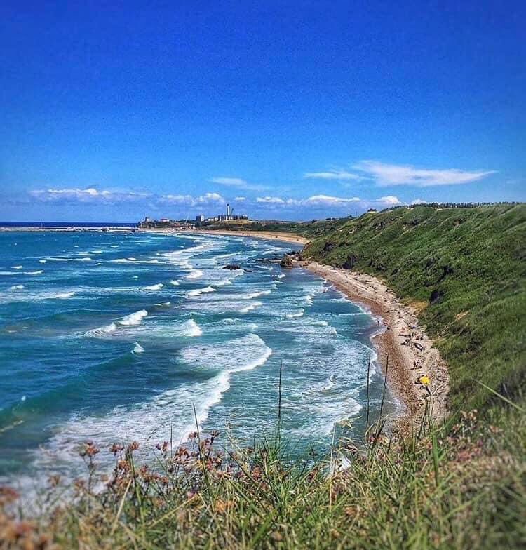 lloucin's tweet photo. La spiaggia di Punta Penna a Vasto è una delle poche spiagge incontaminate di tutto il Mar Adriatico
Nella Riserva Naturale di Punta Aderci, la spiaggia di Punta Penna è famosa per le sue dune, habitat naturale del Gabbiano Reale e del Fratino
#yesabruzzo #abruzzo #puntapenna https://t.co/owPPSEE5qq