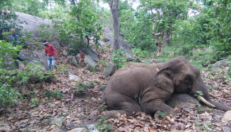 2/ Recent deaths of elephants, most notably that of the pregnant elephant in Kerala, have shaken the collective conscience of the society. Foresters, generally held responsible, are equally, if not more, pained by such unfortunate incidents & unnatural death of any wild animal.