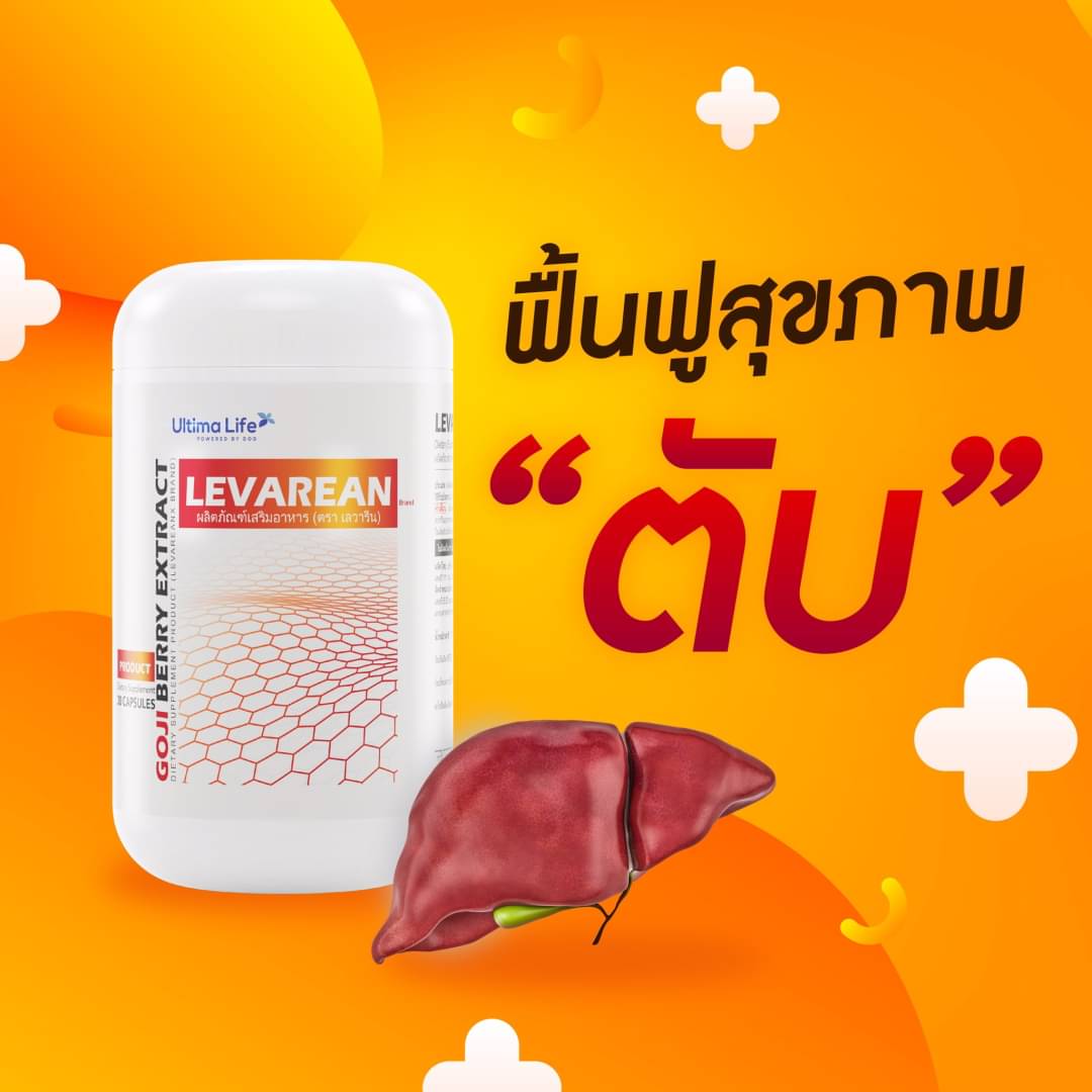 porn_theeraporn's tweet image. ใครที่ดื่มแอลกอฮ​อร์เป็น​ประจำ​ หรือทานยาเยอะก็จะ​มีผลต่อตับ​ ดังนั้นป้องกันไว้ดีกว่า​ดูแลสุขภาพกันนะค่ะ​ levarean​ บำรุงตับ​ 

📌สุขภาพดีไม่มีขาย📌

#levarean​ #UltimaLife​ #บำรุงตับ​#UltimaLifebyDOD

สั่งซื้อสินค้าคลิกลิ้งค์​เลย👉​
ultimalifeshopchaingmai.lnwshop.com/p/3
