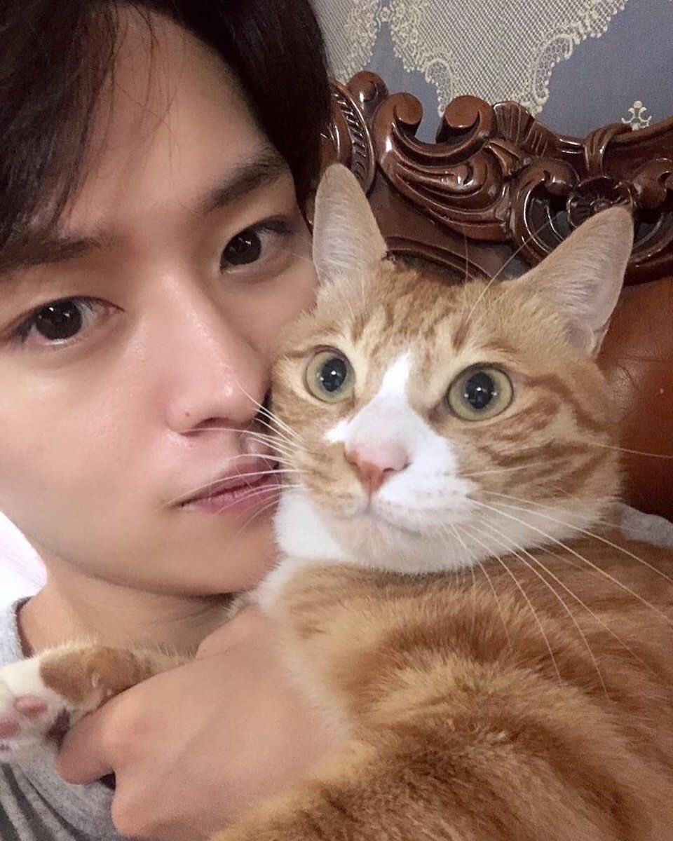 as i am now 21, the same age minho is, i have decided to make a short thread of minho with his cats, because it's my birthday, i love minho, and i love cats. here's lee soonie, lee doongie, lee dori, and lee minho. (3rd pic is, right to left, soonie doongie dori)