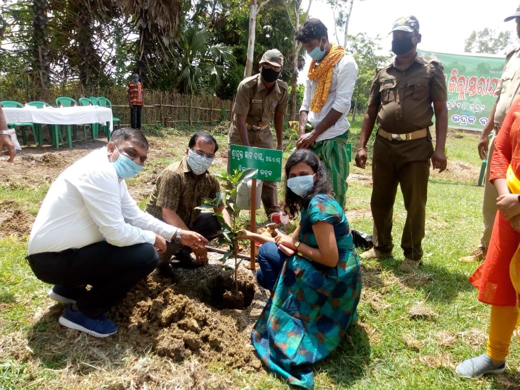 DFO Bhadrak (WL) tweet media