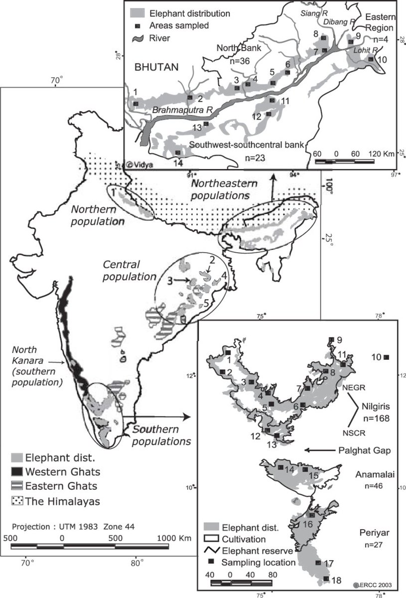 13/ The North-Eastern population of about 9,650 elephants in 7 North-Eastern States is now discontinuously distributed and exists as 15 different populations in an area of ~8,900 sq km! This highlights the gravity of the problem of elephant habitat degradation & fragmentation.