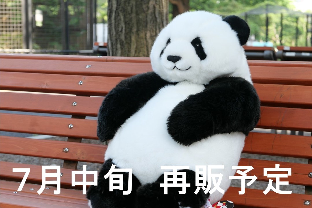 上野動物園 抱っこシャンシャン ぬいぐるみ | www.jupitersp.com.br