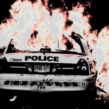 ⠀⠀⠀⠀⠀official starter call ༉°
⠀⠀
𖤐 like for a starter in 
milo’s human form ! 

𖤐 retweet &amp; like for a 
starter in milo’s canine form ! 

( both with appropriate gifs . . ! )