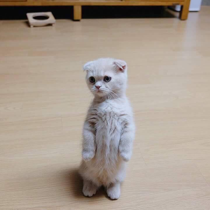 โน่ทั้งคู่เลยเปล่า