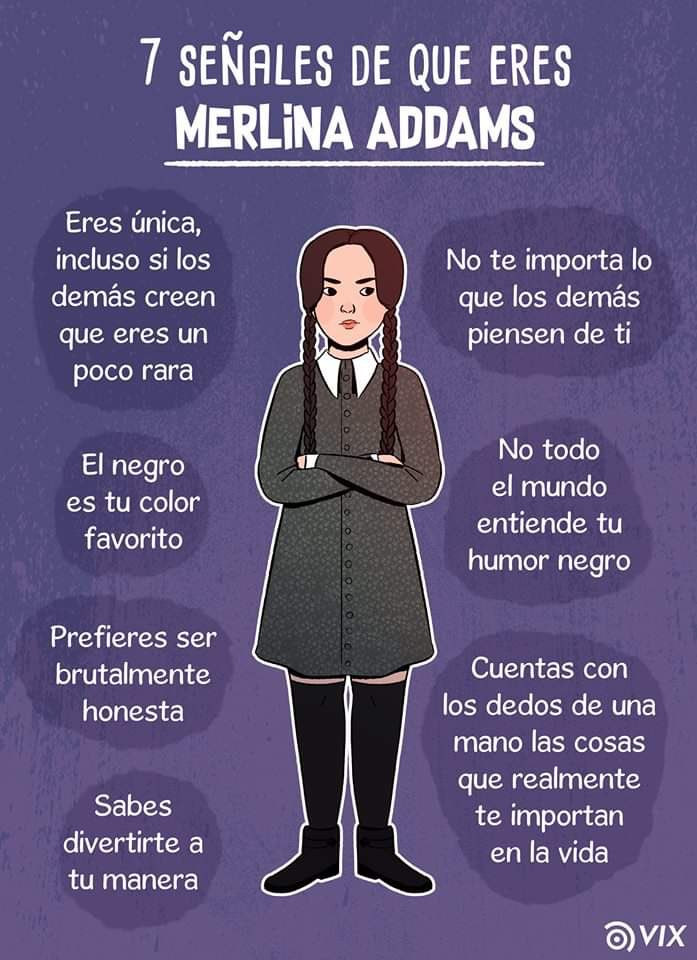 paulina sanchez tweet media