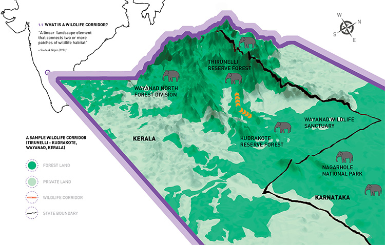 18/ In other words, we need to maintain elephant corridors- linear, narrow, natural habitat linkages between secure elephant habitats along the traditional movement paths of elephants- to allow them to move unhindered and without bringing them in contact or conflict with humans.