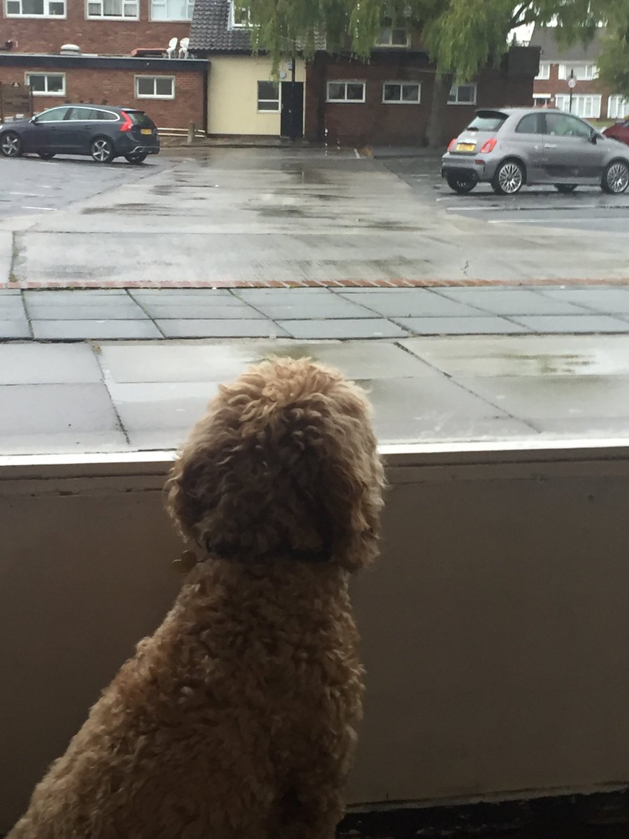 Even Rosie’s watching for the papers this morning. #WhitleyBay #smithsnews