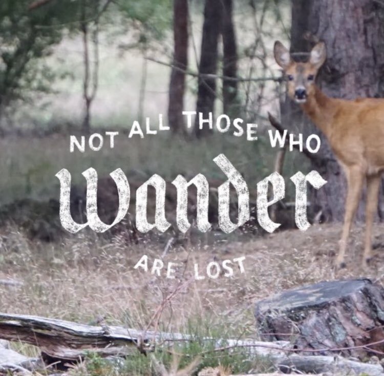 JustLien tweet media