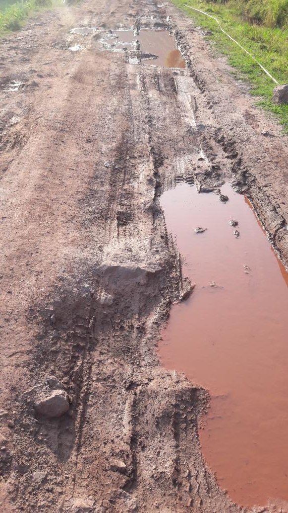 MohanSi19577436's tweet photo. @DMReasi##Apathetic condition of #Gund more to##Judda PMGSY Road
#completiondate2016
#animal live we have
#6casualties sofar
#motherfatherson in one accident
#nobody is taking responsibility
#Helplessnesallover https://t.co/FO6zglk3be