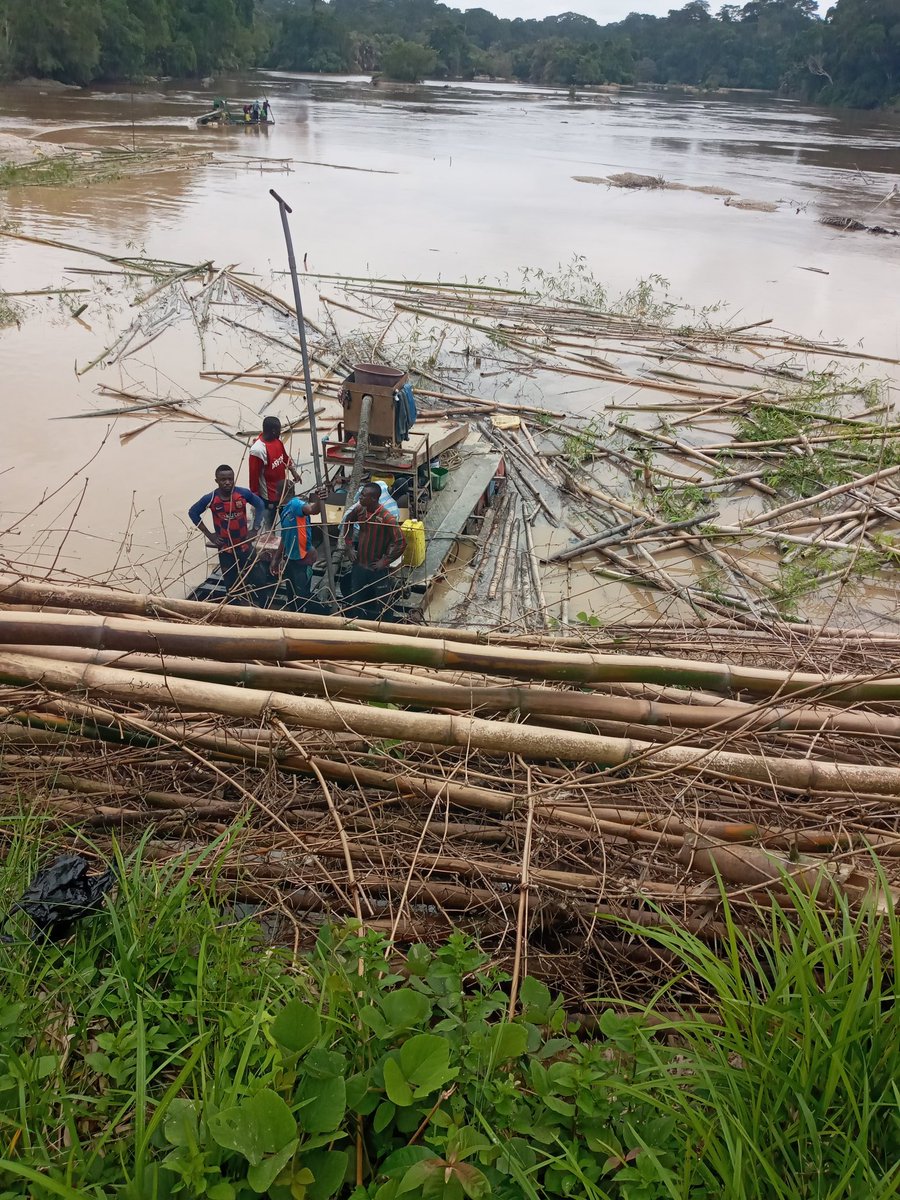 TereGnessoa's tweet photo. Les orpailleurs clandestins que nous avons surpris en train de détruire le fleuve cavally. C'est à Gbeleto dans la Sous-préfecture de Djouroutou https://t.co/szeLSYjDYh
