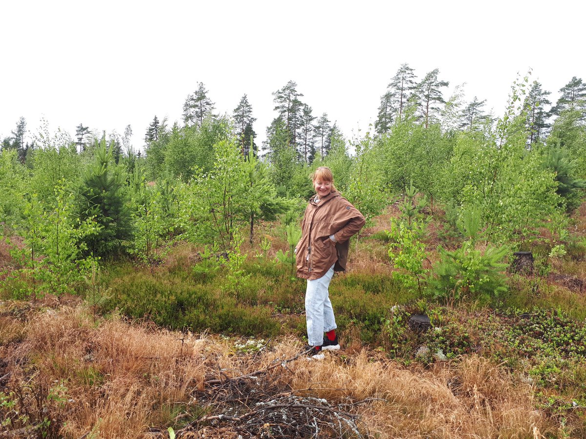 EevaPrimmer's tweet photo. Rain after drought. #Teijo #Kansallispuisto #ecologicalcompensation #offset #kompensaatio https://t.co/SUS3g12dla