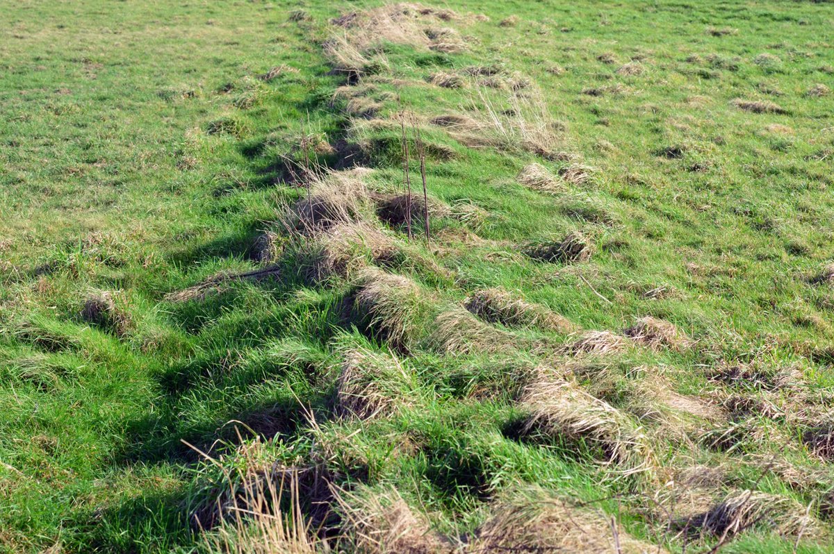 The slangs are often termed "pre-19th century" – the date of the first formal survey, but church ownership is recorded in the 1300s.However, they're almost certainly medieval… or older.The footpaths are visibly ancient, hinting at centuries of daily treks from home to slang.