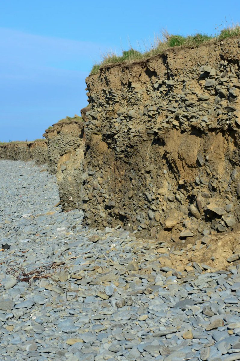 But there's a primeval history here. At Llanon's seaward edge, the slangs are being consumed by erosion, creating a precarious cliff. And from the beach, water-rounded pebbles are visible in the soil, betraying Morfa Esgob's origins - a time when great glaciers covered Wales.