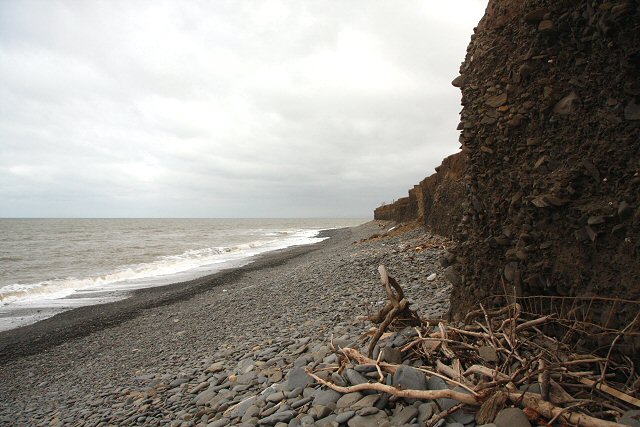 But there's a primeval history here. At Llanon's seaward edge, the slangs are being consumed by erosion, creating a precarious cliff. And from the beach, water-rounded pebbles are visible in the soil, betraying Morfa Esgob's origins - a time when great glaciers covered Wales.