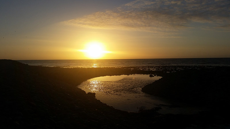 But there's a primeval history here. At Llanon's seaward edge, the slangs are being consumed by erosion, creating a precarious cliff. And from the beach, water-rounded pebbles are visible in the soil, betraying Morfa Esgob's origins - a time when great glaciers covered Wales.