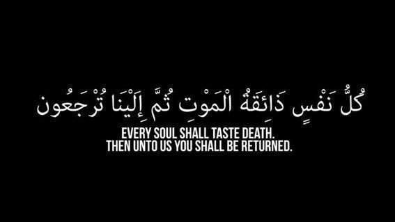 عمارہ•__❀ ‎ tweet media
