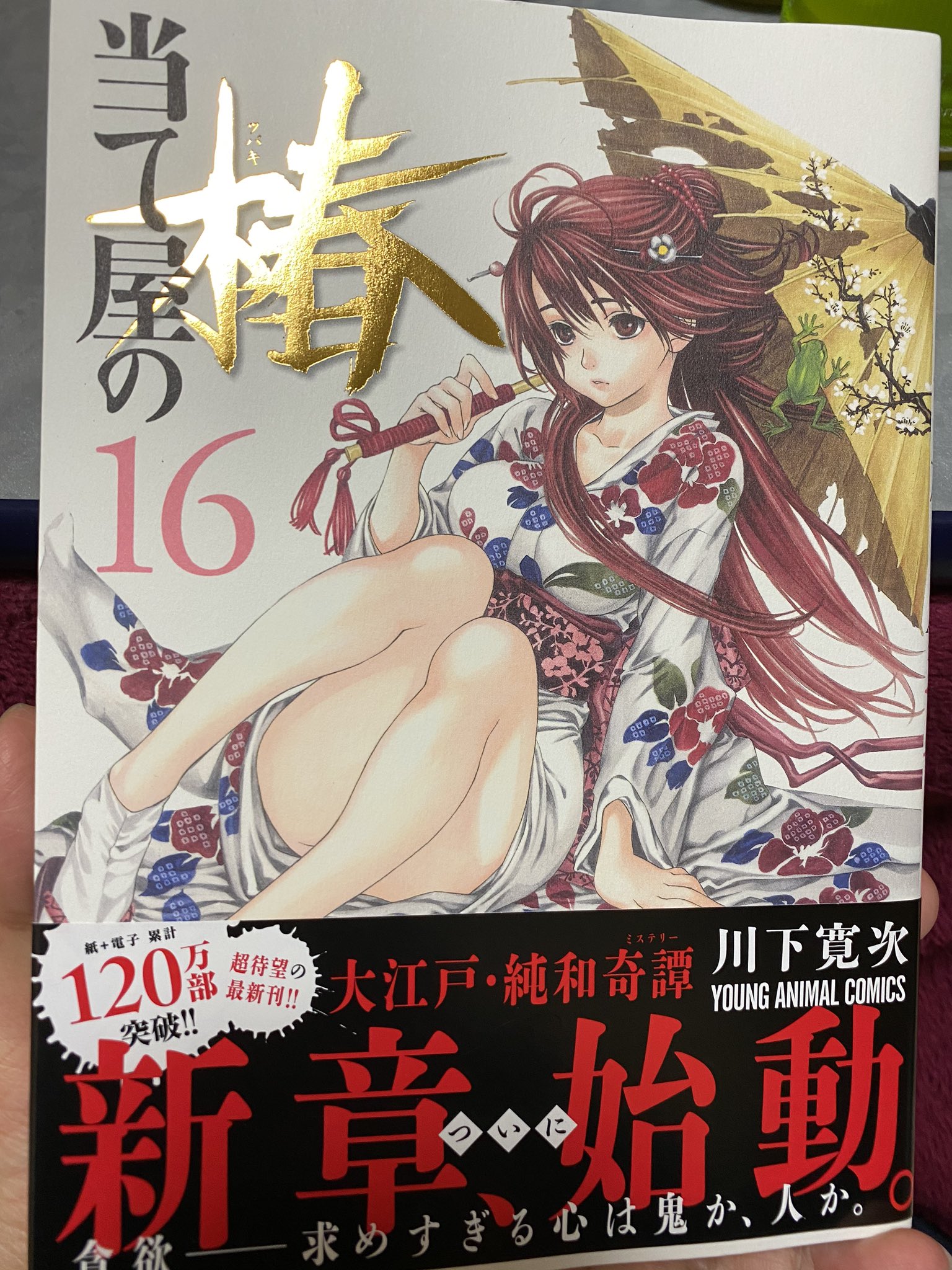 リウ Twitter પર みんなーーー長らく休載してた川下寛次先生の当て屋の椿の新刊が出てたぞおおおお 江戸ミステリーに謎宗教に謎集団 トラウマ持ちの春画絵師 顔は良い と推理屋の江戸っ子野生児椿ちゃんとのタッグ 先生得意の曲線美が美しい肉体 特に女体 リウ Twitter પર みんなーーー長らく休載してた川下寛次先生の当て屋の椿の新刊が出てたぞおおおお 江戸ミステリーに謎宗教に謎集団 トラウマ持ちの春画絵師 顔は良い と推理屋の江戸っ子野生児椿ちゃんとのタッグ 先生得意の曲線美が美しい肉体 特に女体