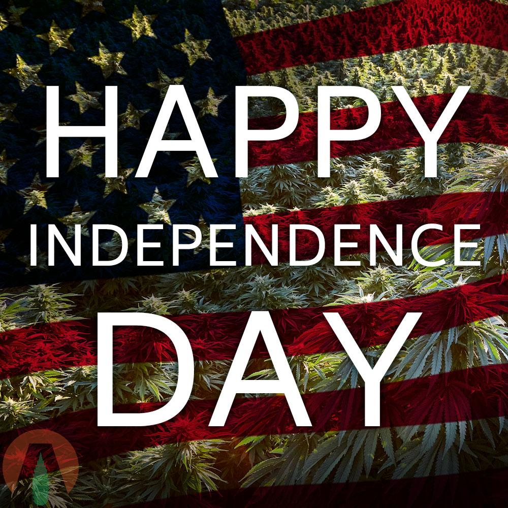 AlterraHemp's tweet photo. Happy 4th of July! 🇺🇲 #HempStartsHere #AlterraHemp #HempClones  #CBGClones #CBDClones #Hemp #HempFarmer #HempGenetics #HempSeeds #AmericanHemp #CBD #Cannabis #CannabisCommunity https://t.co/VU6OirD4n7