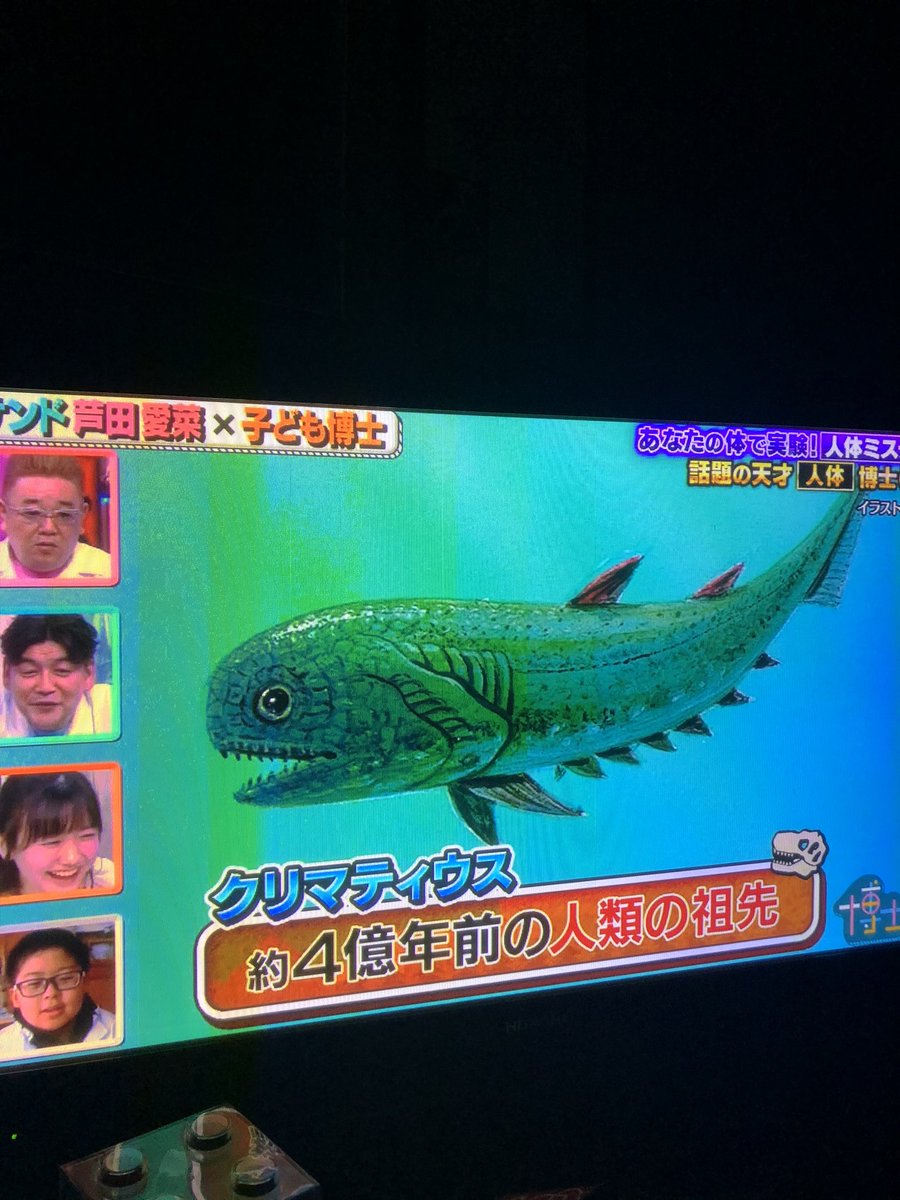 先天性耳瘻孔 Twitter Search