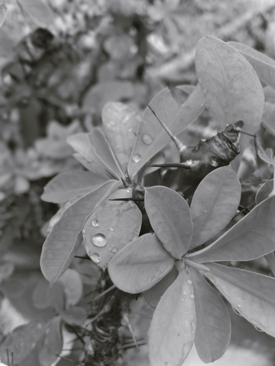 ilma butool (@ButoolIts) | Twitter