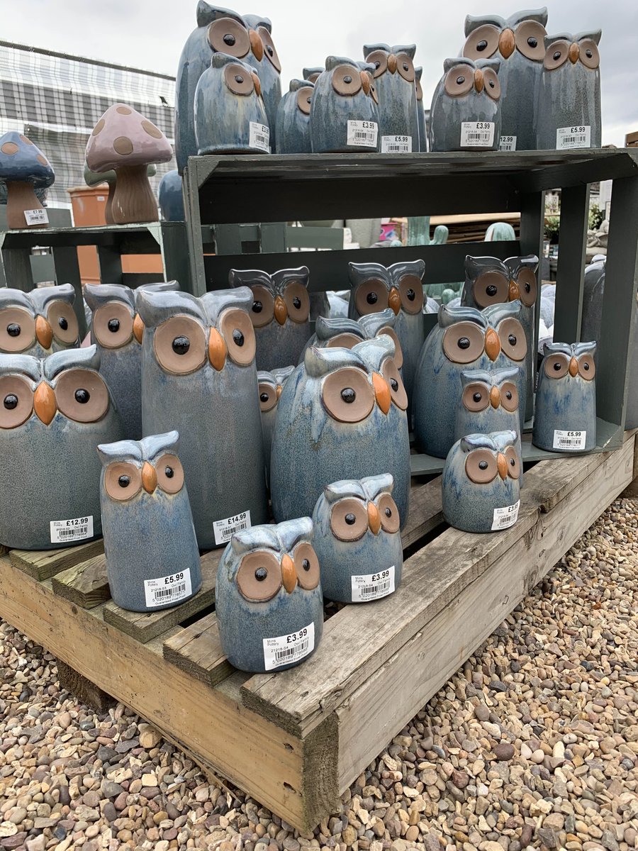 We are open as normal. We are still enforcing 2metre social distancing rules and we ask that you please follow our guidance in store to ensure we keep everyone safe, anyone not adhering to these rules will be asked to leave the site. Opening times 9am-4.30pm, weekends 10am-4pm.