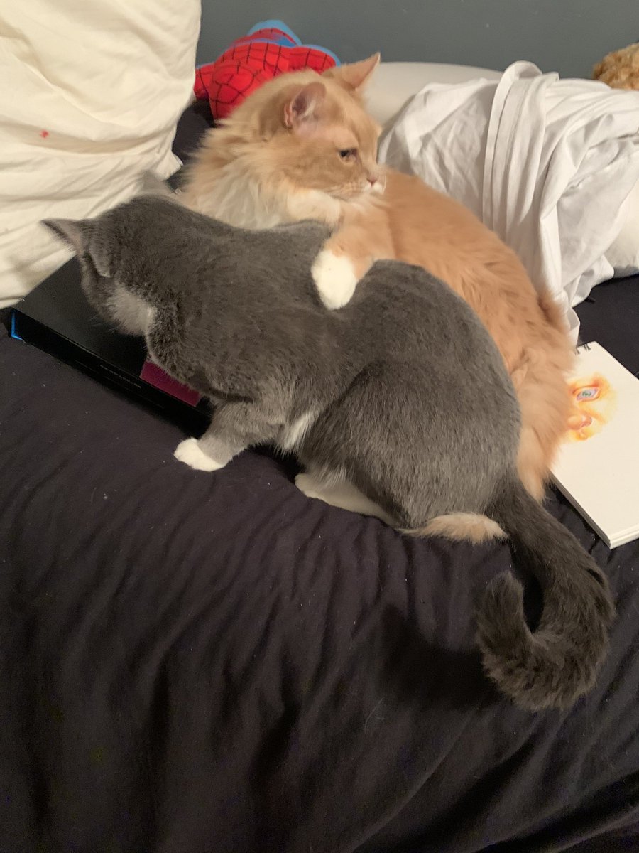 littleboydwight's tweet photo. mine brothre hugg me,, becos ime an litdel boy,, https://t.co/RnrZtNWNDU