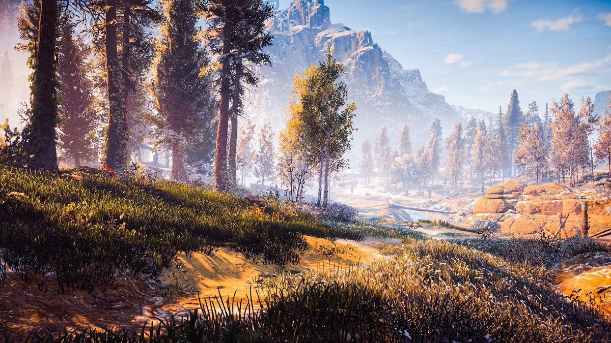 Chris25551's tweet photo. I will never get bored of this. I really hope you lot don’t either 😂

Game : #HorizonZeroDawn 
Developer : @Guerrilla 
Platform : #PS4 

#VirtualPhotography #Gametography #HZD #HZDPhotomode #VGPUnite #PS4share https://t.co/BexfYMkjiH